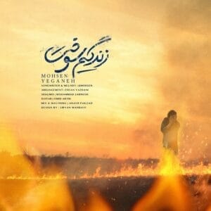 کاور