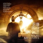 دانلود آهنگ دلم براش تنگ شده از مجید خراطها + متن آهنگ دانلود آهنگ دلم براش تنگ شده از مجید خراطها + متن آهنگ