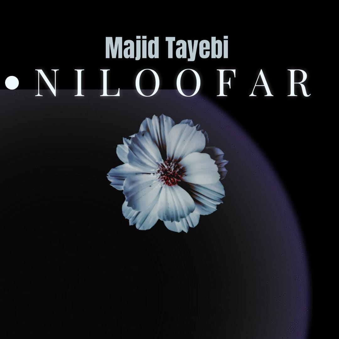 دانلود آهنگ جدید مجید طیبی به نام نیلوفر