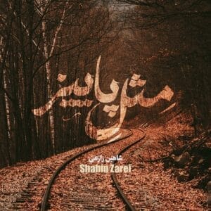 کاور