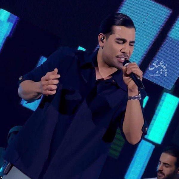 دانلود آهنگ بی کلام دوست دارم مجید رضوی رایگان