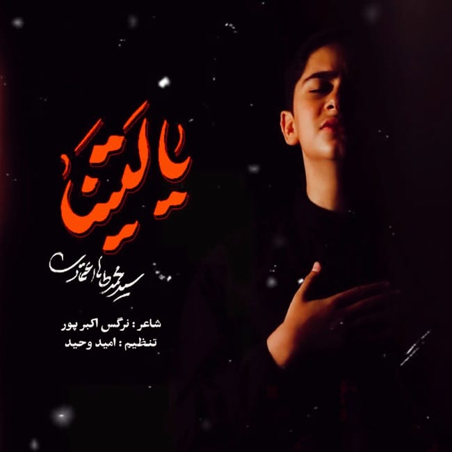 دانلود آهنگ جدید محمدطاها اعتمادی به نام یا لیتنا