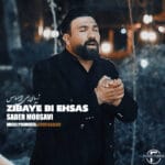 دانلود آهنگ زیبای بی احساس از صابر موسوی + متن آهنگ