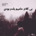 دانلود آهنگ بی کلام بلدم بودی حامیم + متن آهنگ دانلود آهنگ بی کلام بلدم بودی حامیم + متن آهنگ