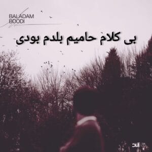 دانلود آهنگ بی کلام بلدم بودی حامیم + متن آهنگ‌
