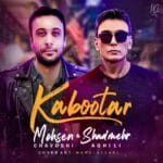 دانلود آهنگ شادمهر عقیلی و محسن چاوشی کبوتر (هوش مصنوعی) + متن آهنگ