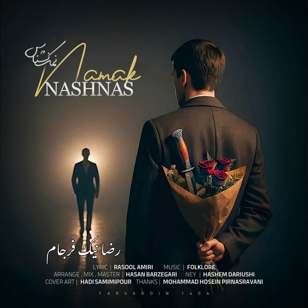 دانلود آهنگ جدید رضا نیک فرجام به نام نمک نشناس