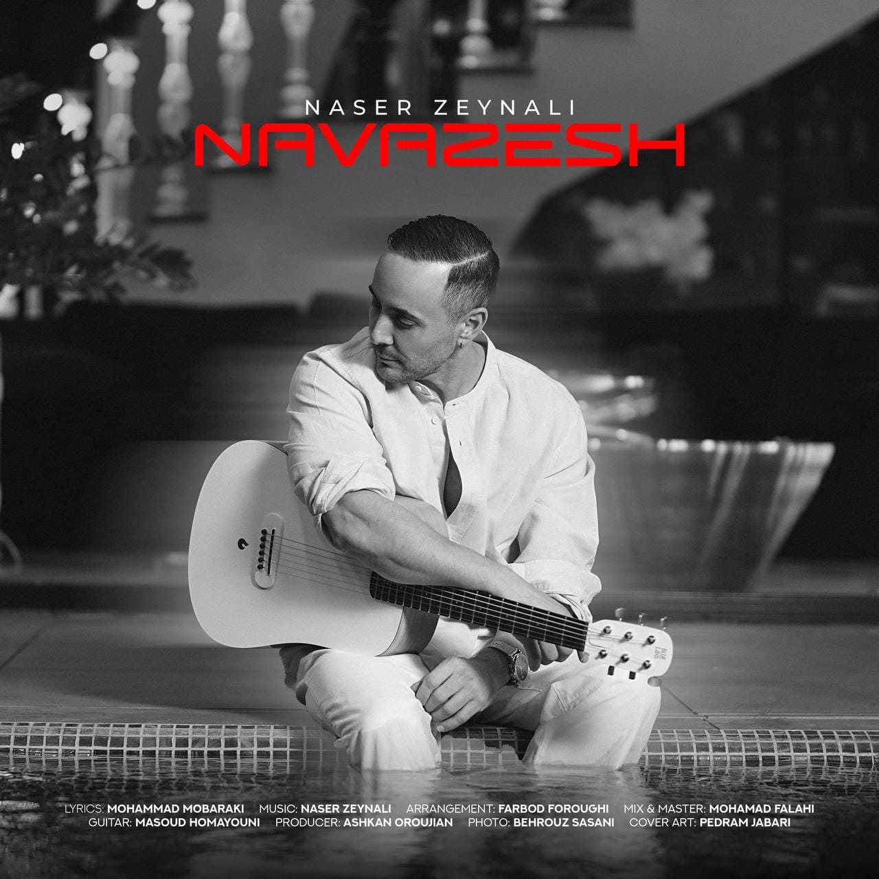 دانلود آهنگ جدید ناصر زینعلی به نام نوازش