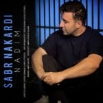 دانلود آهنگ ندیم صبر نکردی + متن آهنگ دانلود آهنگ ندیم صبر نکردی + متن آهنگ