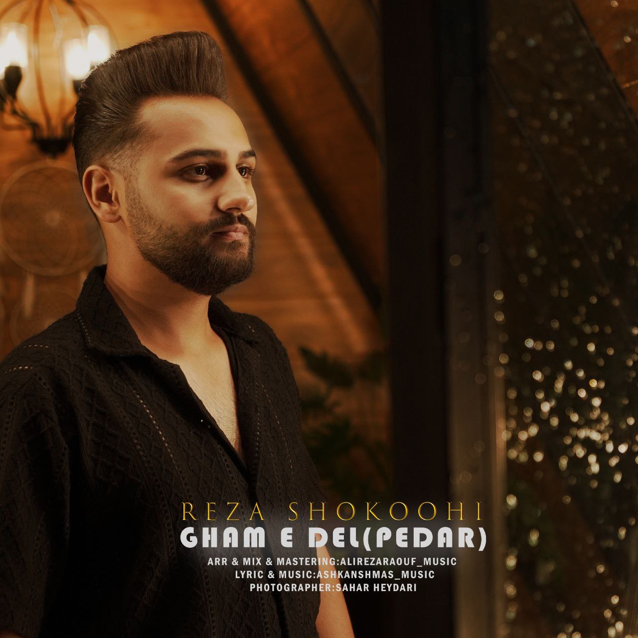 دانلود آهنگ جدید رضا شکوهی به نام غم دل (پدر)