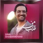 دانلود آهنگ سینا شعبانخانی قلب من + متن آهنگ