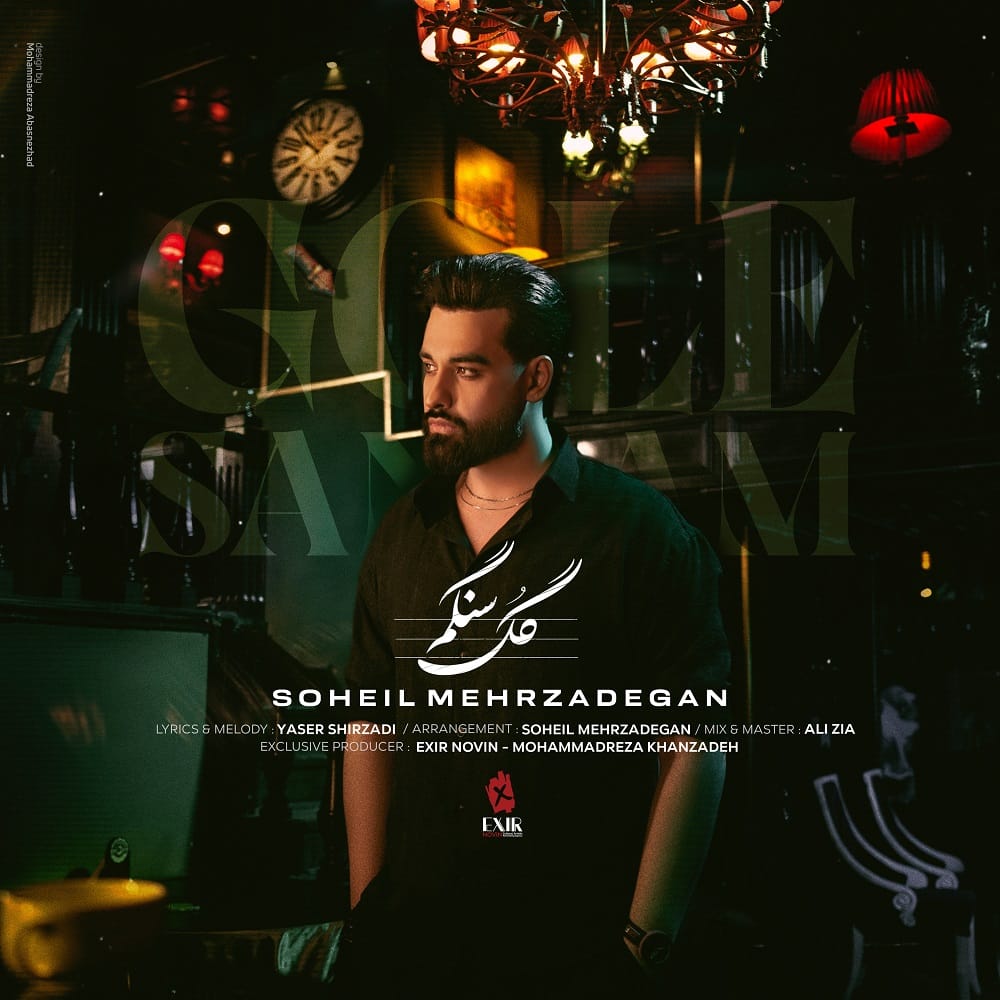 دانلود آهنگ جدید سهیل مهرزادگان به نام گل سنگم